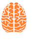 PET/CT Scan and the Brain